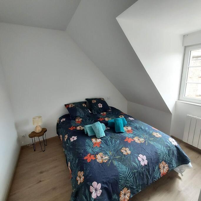 Bel Appartement F2 Hyper Centre Refait A Neuf 康坦斯 外观 照片